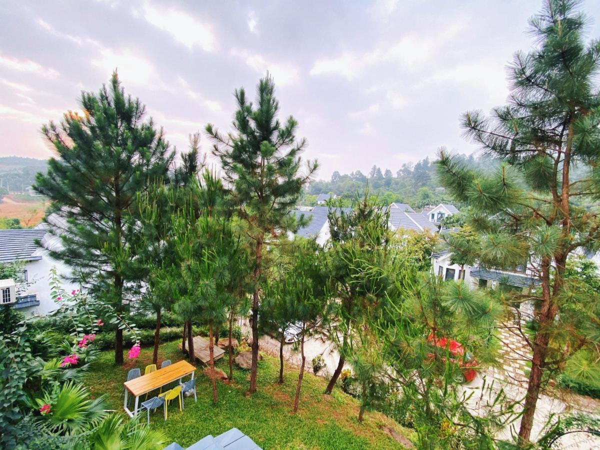 Rose Villas & Resort - Ba VI Son Tay Eksteriør billede