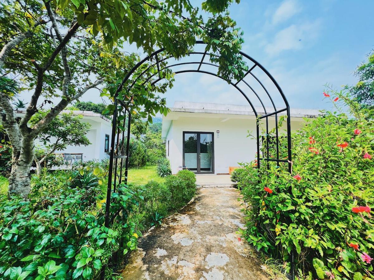 Rose Villas & Resort - Ba VI Son Tay Eksteriør billede