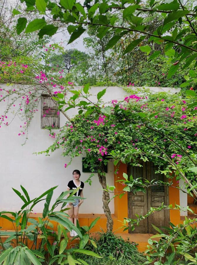 Rose Villas & Resort - Ba VI Son Tay Eksteriør billede
